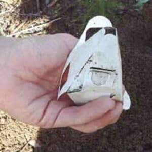 Figura-57-Protector-Seed-Shelter-ya-montado-con-las-bellotas-y-la-tierra_Q320