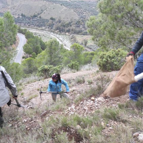 photo_1_2025-12-01_11-31-35