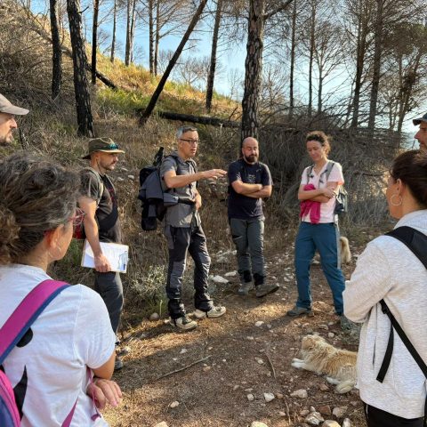 photo_7_2025-11-09_22-03-20